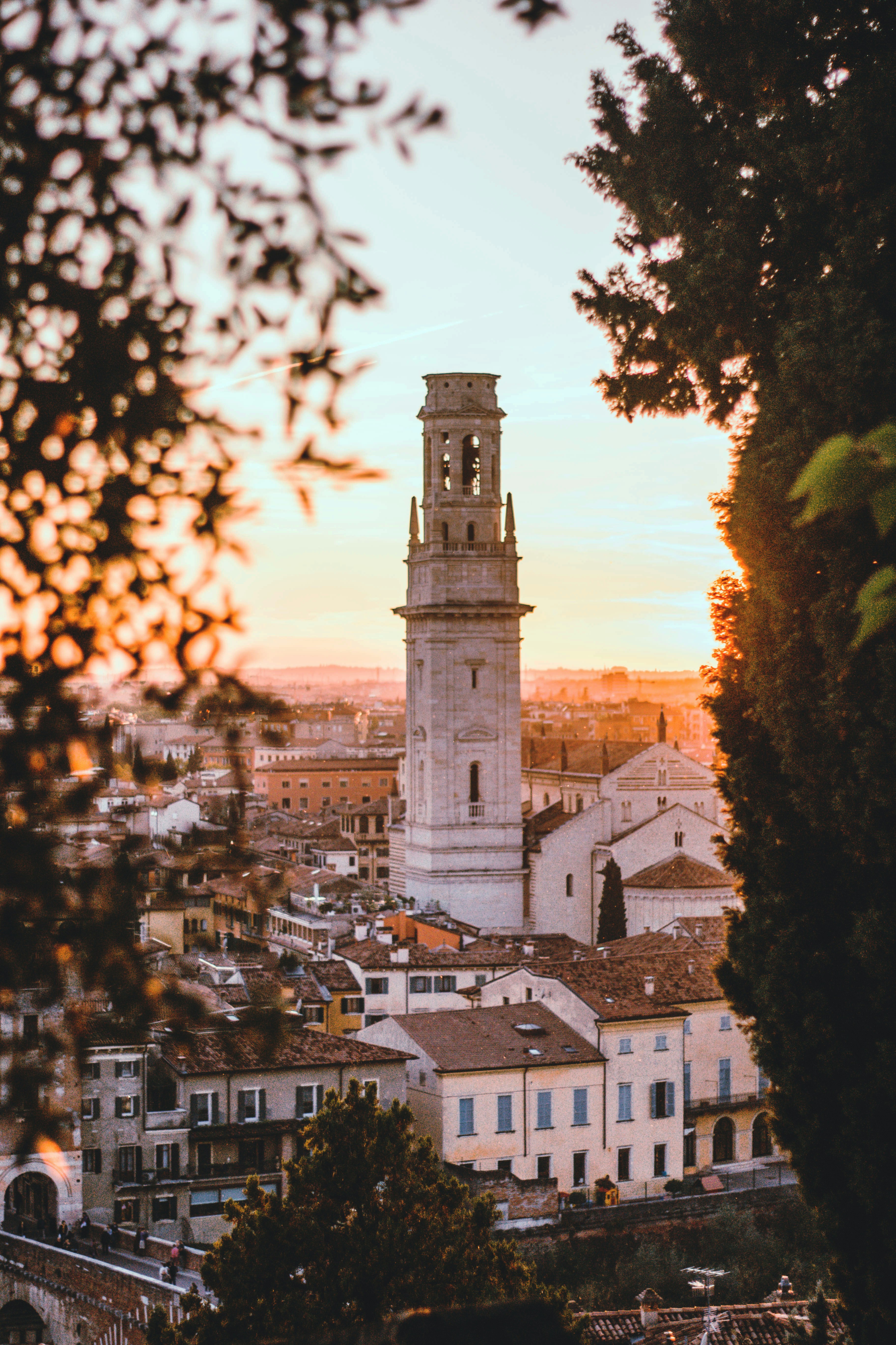 A stone bell tower rises above city rooftops at sunset, framed by trees